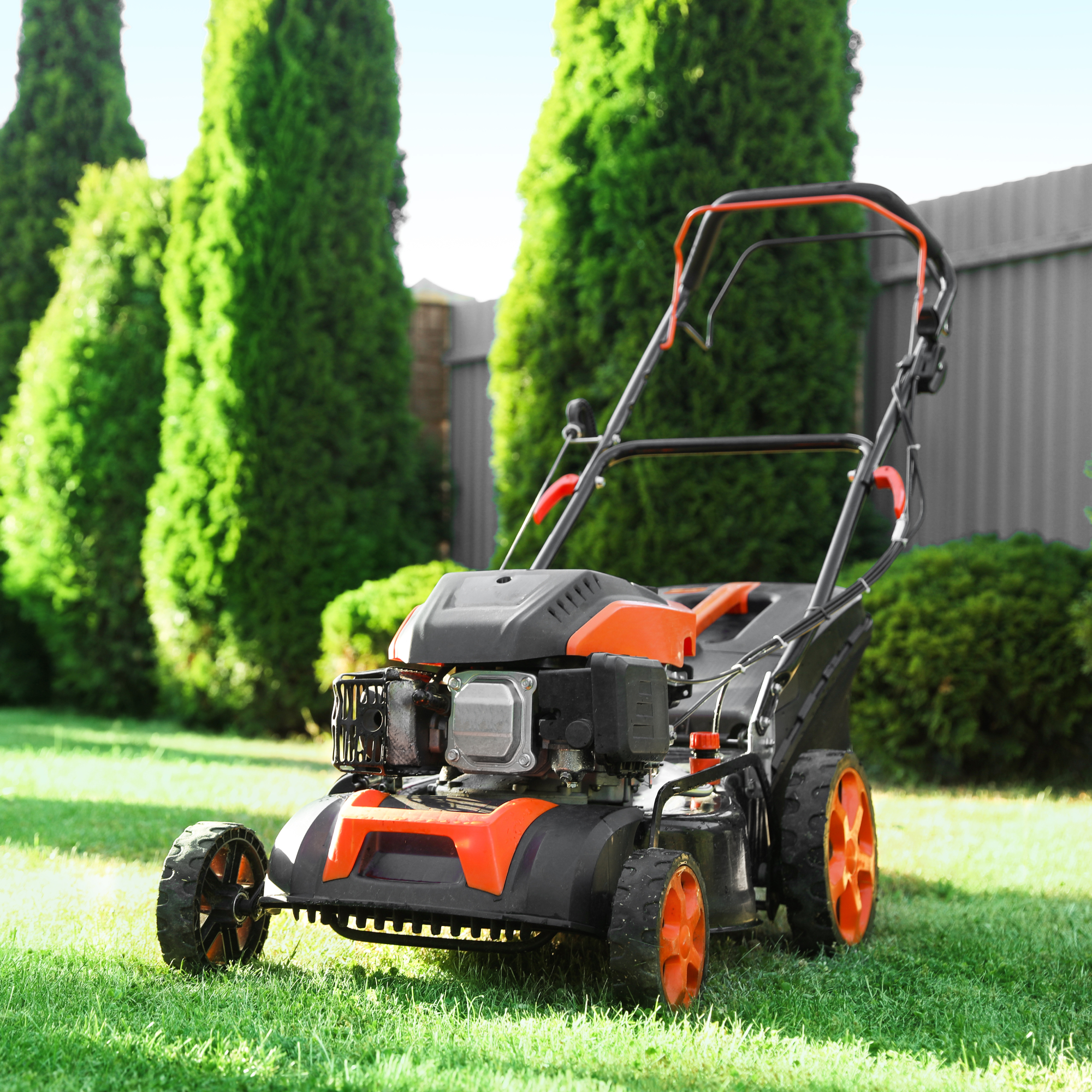 lawn mower in a manicured backyard 