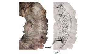 A montage of 39 photographs of the 17,300 year old kangaroo, next to an illustration of the painting.