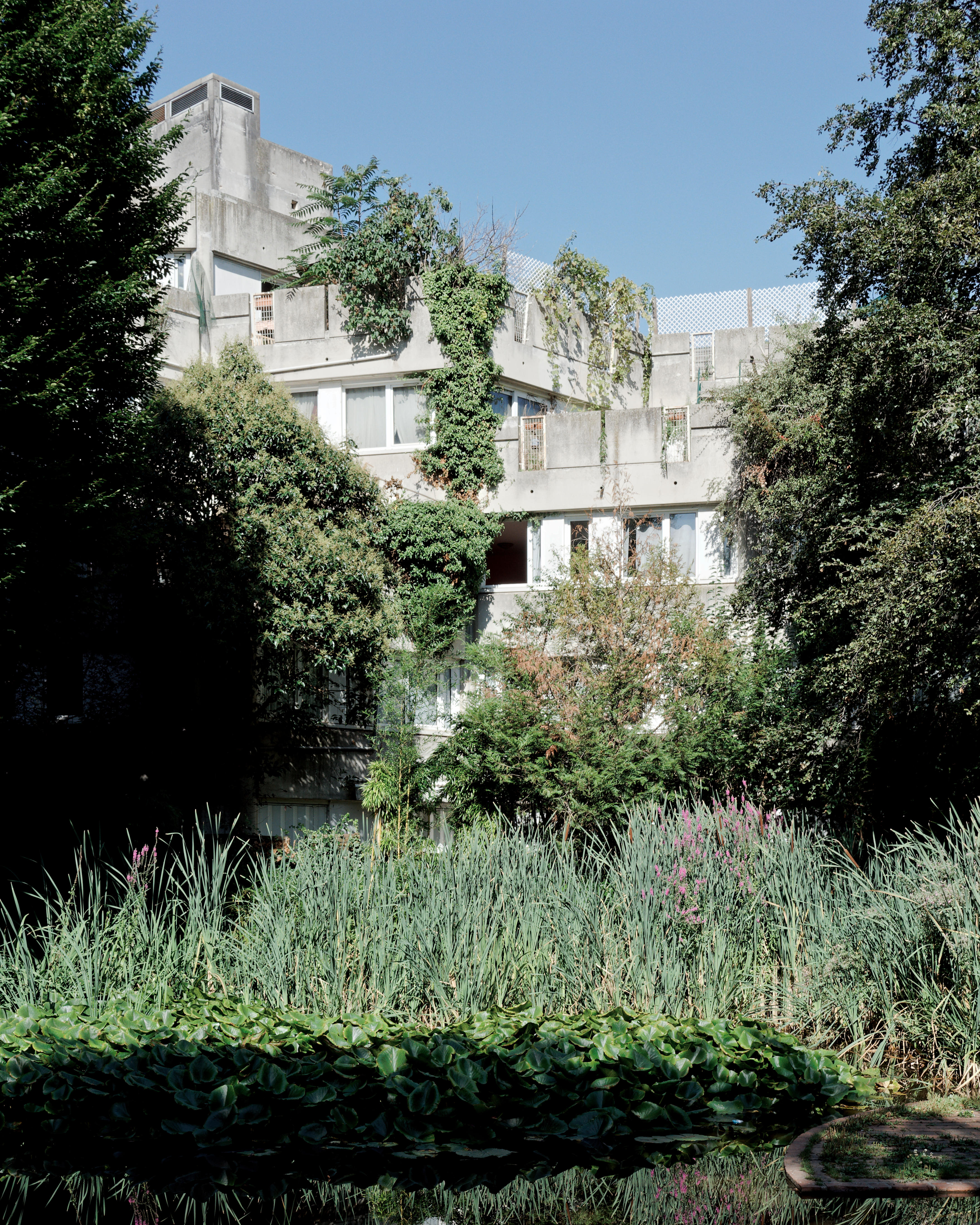 architect Rene&amp;#769;e Gailhoustet's work, Le Lie&amp;#769;gat, Ivry-sur-Seine, Paris, a concrete composition engulfed in greenery, seen from a distance