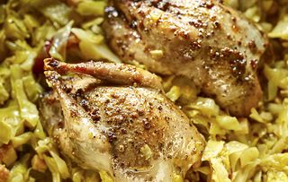 Braised partridge with cabbage