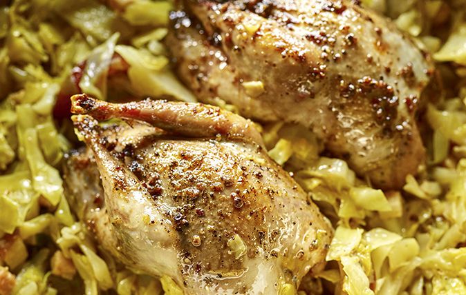 Braised partridge with cabbage