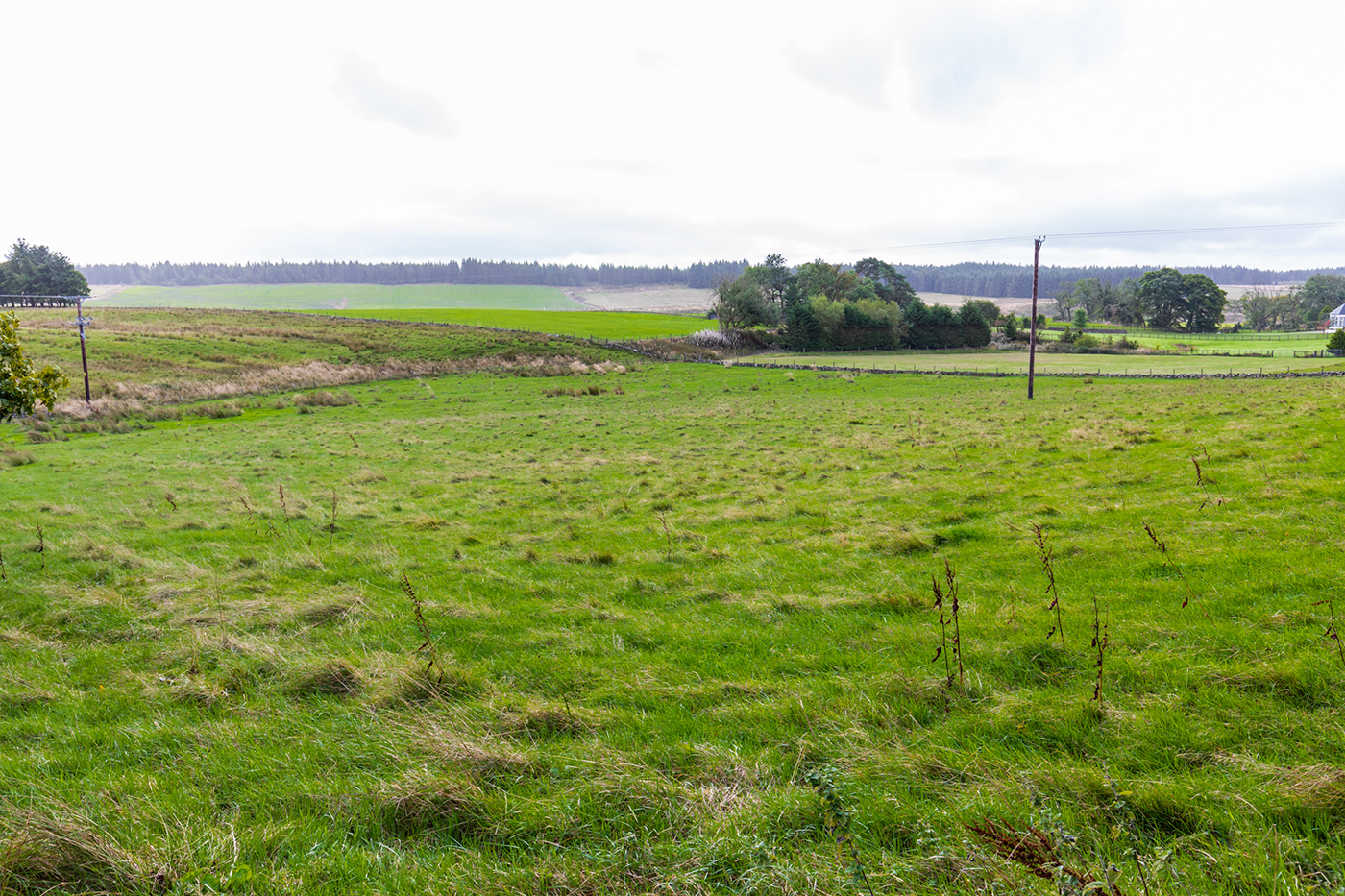 Meadowlands Farm 7