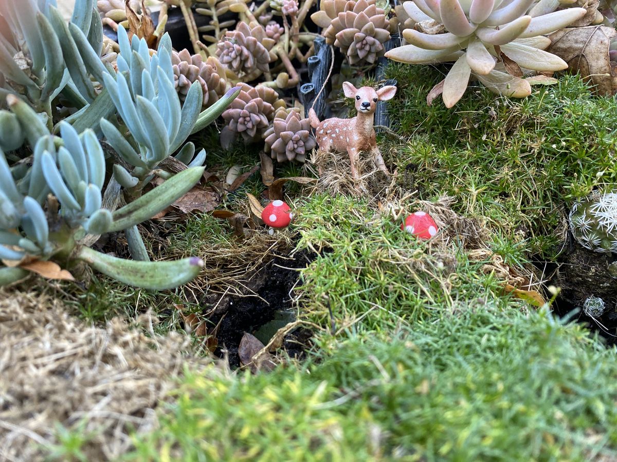 iPhone 12 vs. iPhone 11 - iPhone 11 camera samples