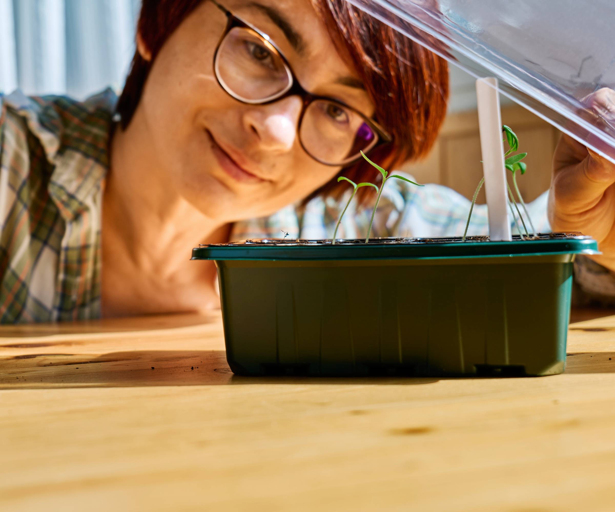 A woman smiles as she lifts the greenhouse top off of a small seedling tray
