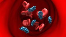 illustration of blue molecules near red cylindrical blood cells in a red blood vessel