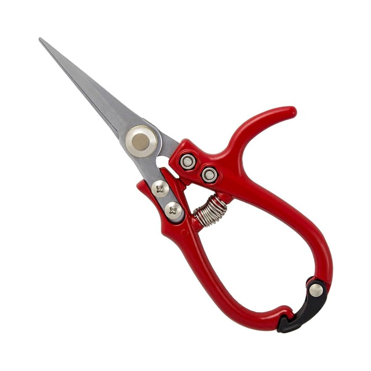Garden scissors