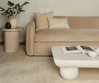 Taos rug in a lounge with a beige sofa and white table on it