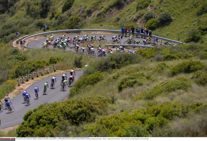 The peloton all stretched out