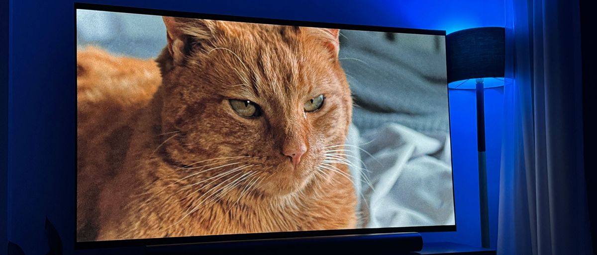 Image of Jones the cat from the movie Aliens, shown on the LG G4 OLED TV. A floor lamp emitting blue light is to the right of the TV. 