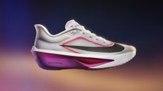 Nike Zoom Fly 6 renders