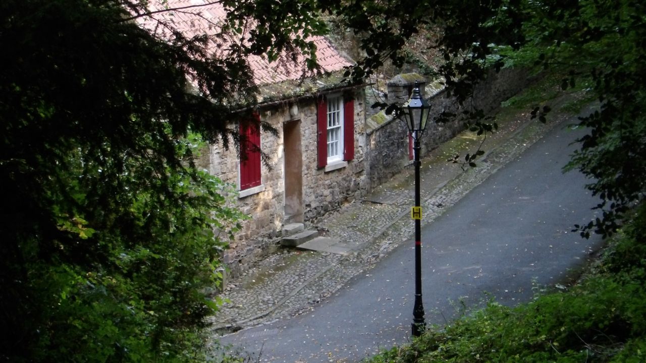 Images taken with the Kodak PixPro AZ653 bridge camera