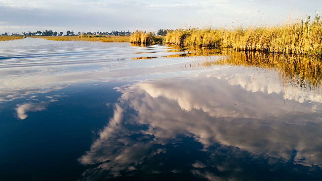Okavango Delta lagoon