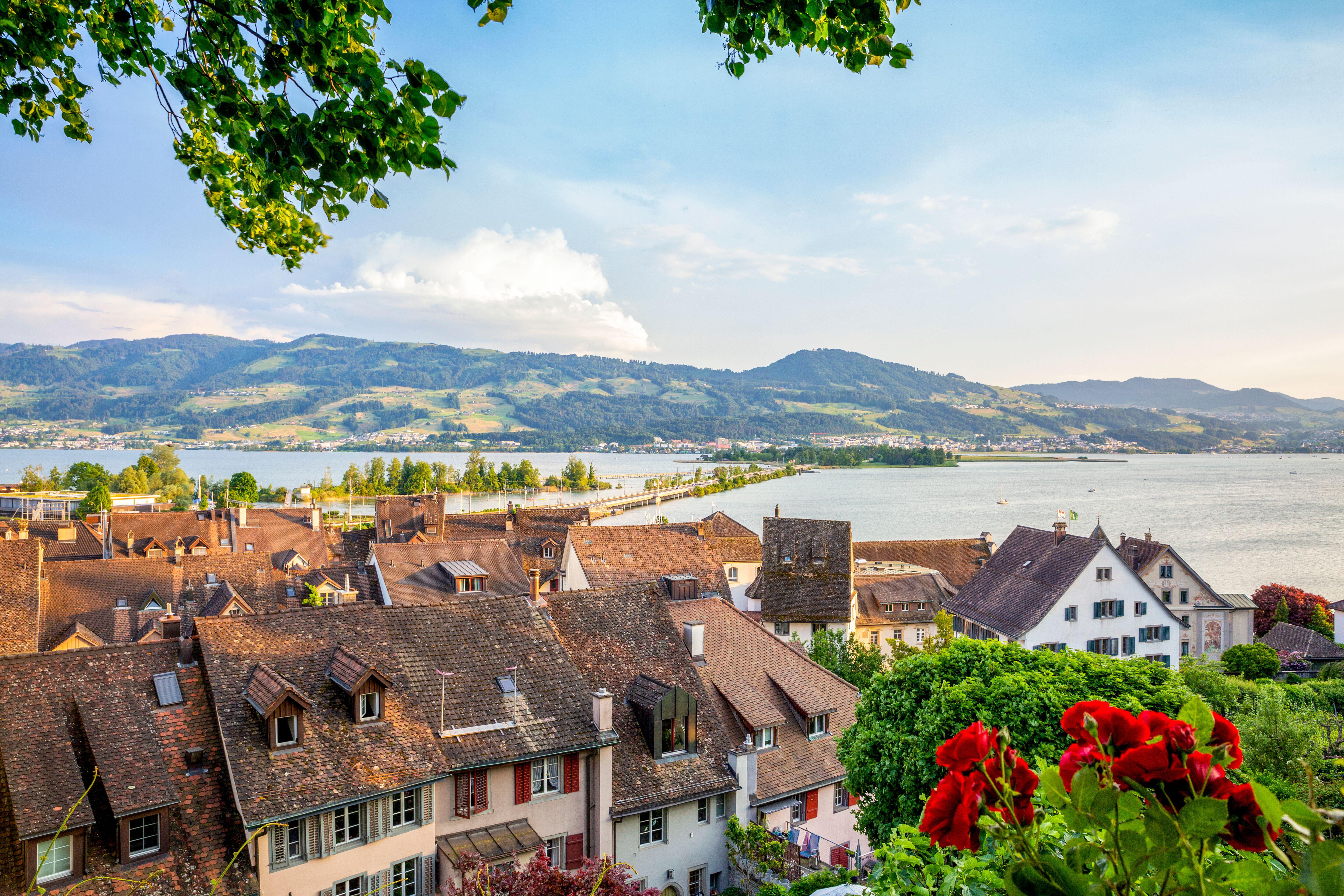 Roses in a pretty medieval town on a lake