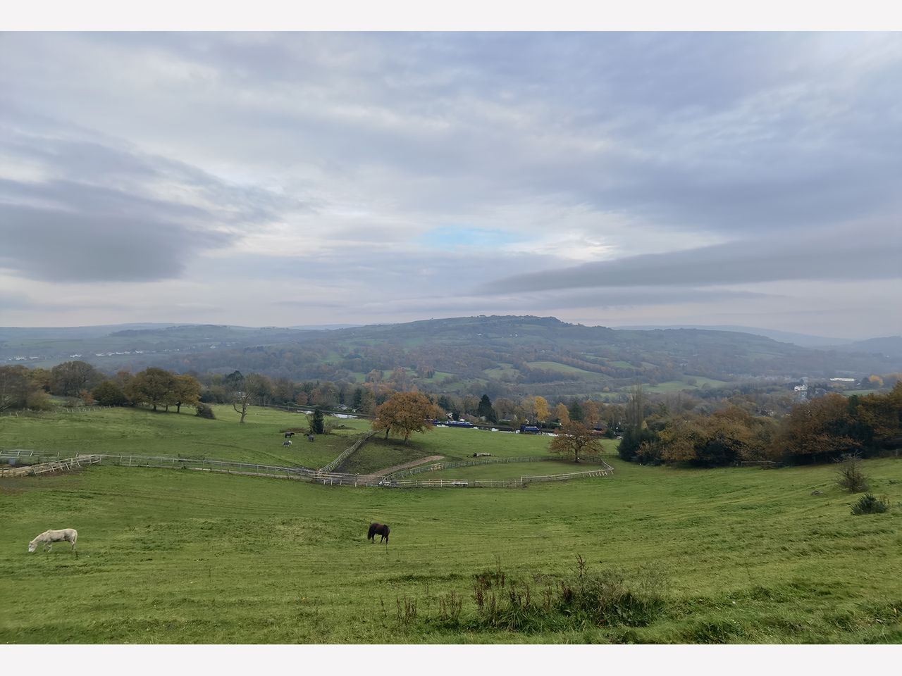 Huawei Mate 40 Pro camera sample