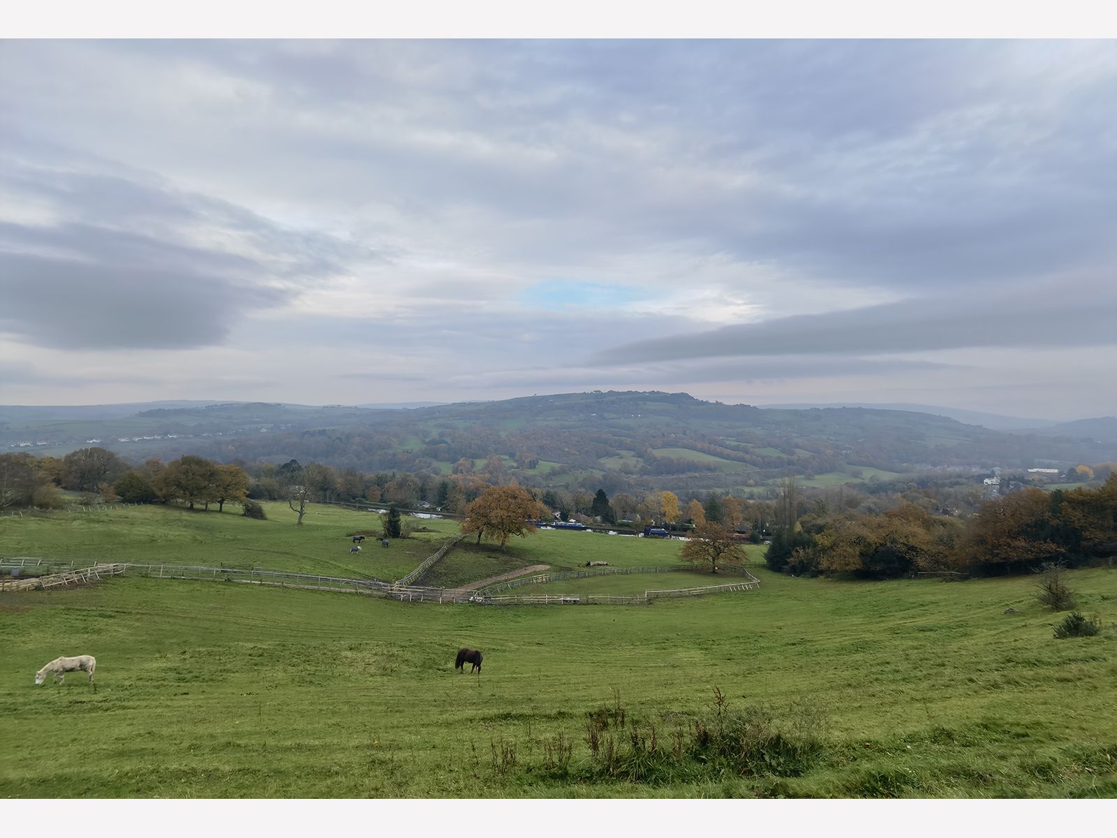 Huawei Mate 40 Pro camera sample