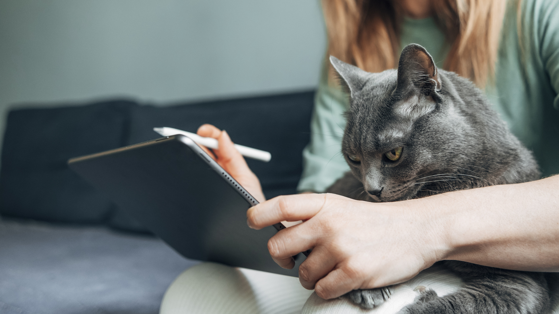 Woman holding cat and writing on tablet