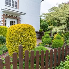 Fence in garden between houses