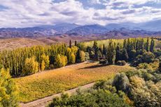 DJI_0238-Las-Sequoias-Vineyard-at-1600-masl-in-GI-San-Pablo-Uco-Valley-credit-Sara-Matthews.jpg