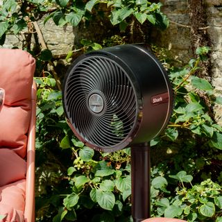 Shark FlexBreeze Fan in Anouska Lancaster's walled garden