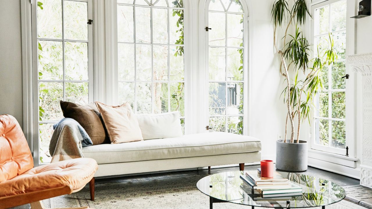 View of clean living room in home — for article on how to kill red ants