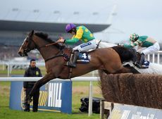 kauto-star.jpg