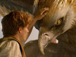 Fantastic Beasts and Where to Find Them