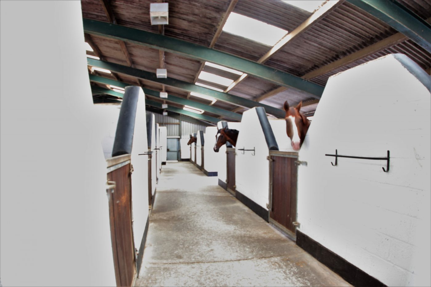 Crumleigh-Heath-Farm-Stables-e1568108628964.jpg