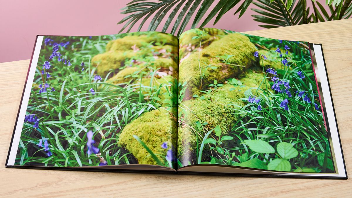 Vista Print photo book open on pages with photos of grass, on table with pink wall and plant in background