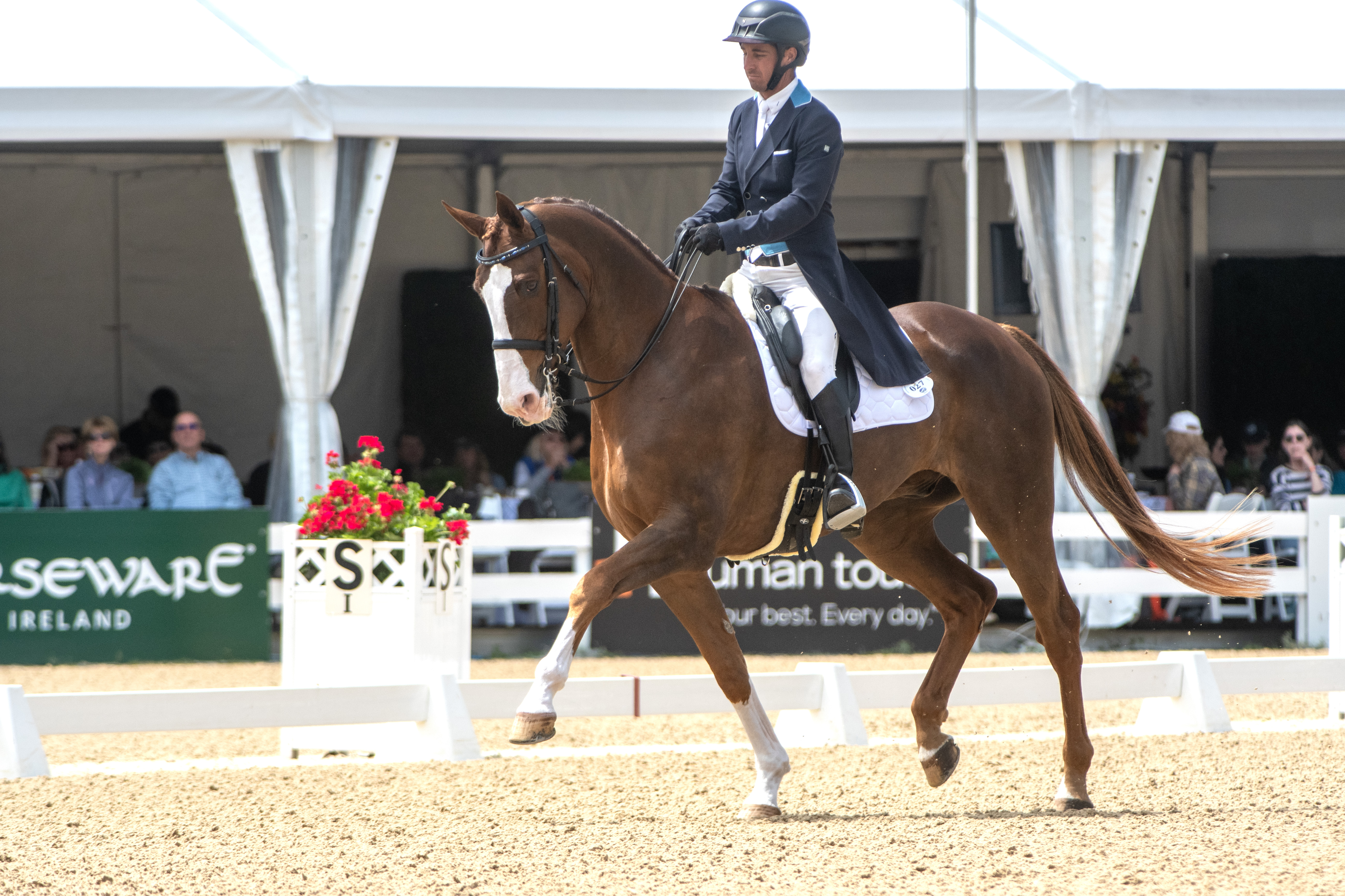 Zachary Brandt returns from back surgery to compete at Kentucky 2024