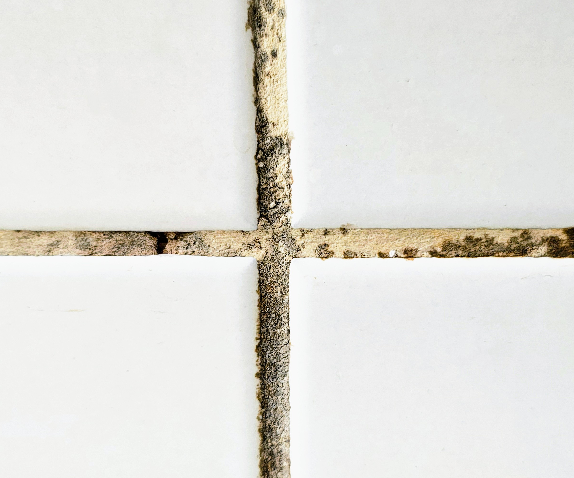 Mouldy grout in between white bathroom tiles