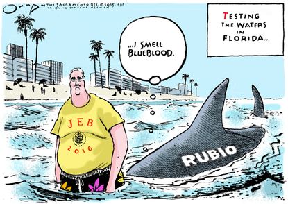Political cartoon U.S. Jeb Bush Marco Rubio 2016 Florida