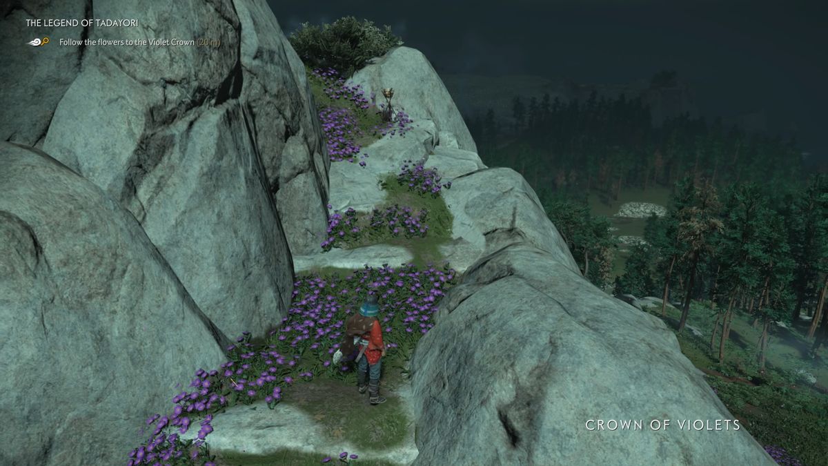 ghost of tsushima violet flowers