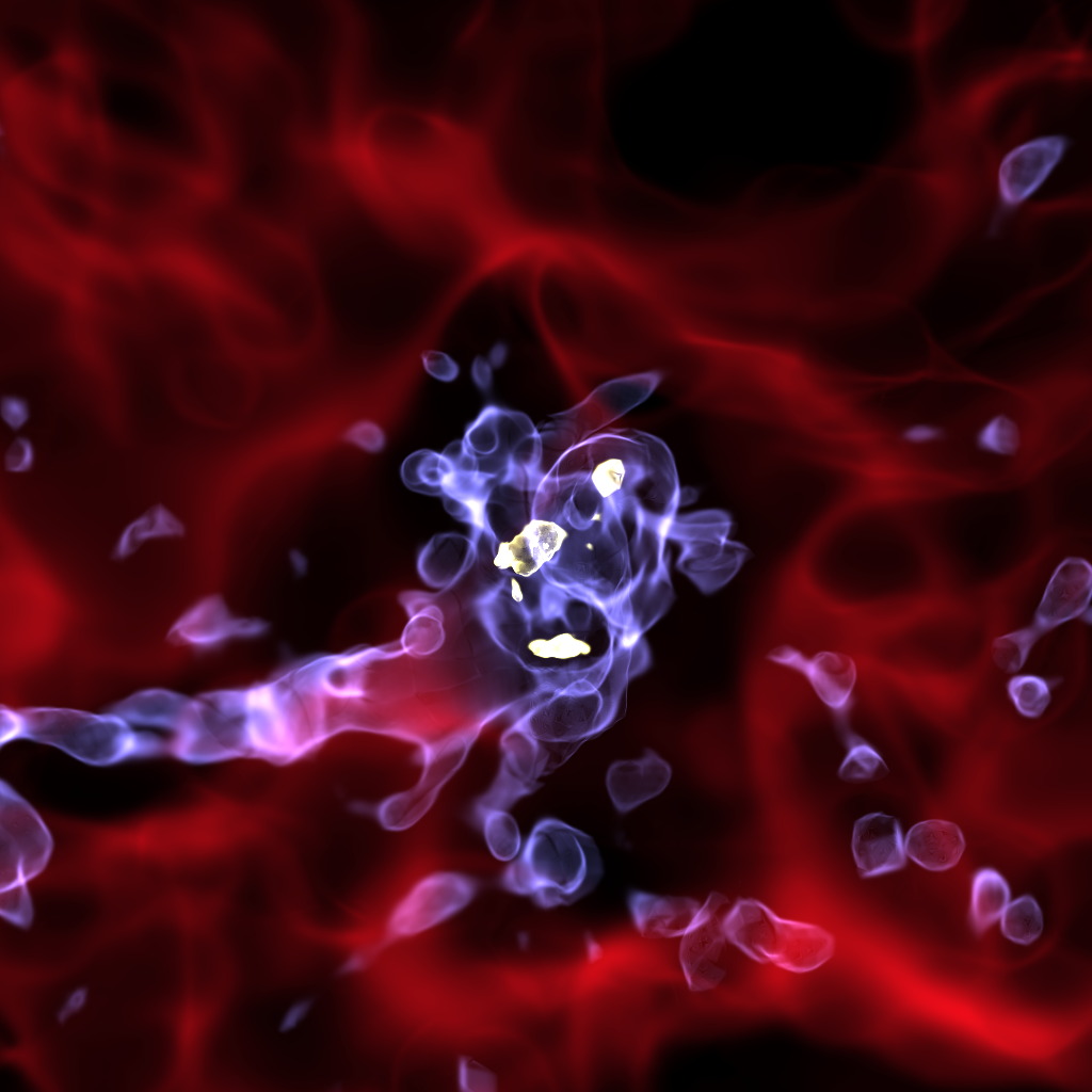 Gas Density Distribution of Model Starburst Galaxy