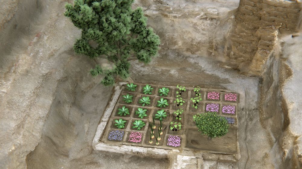 egypt&#039;s funerary garden