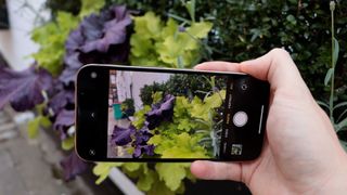 En hand som håller upp en iPhone 13 Pro med kameran aktiv och riktad mot ett par buskar utomhus.