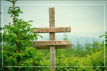 a signpost surrounded by greenery saying SnowFlake Mountain on it