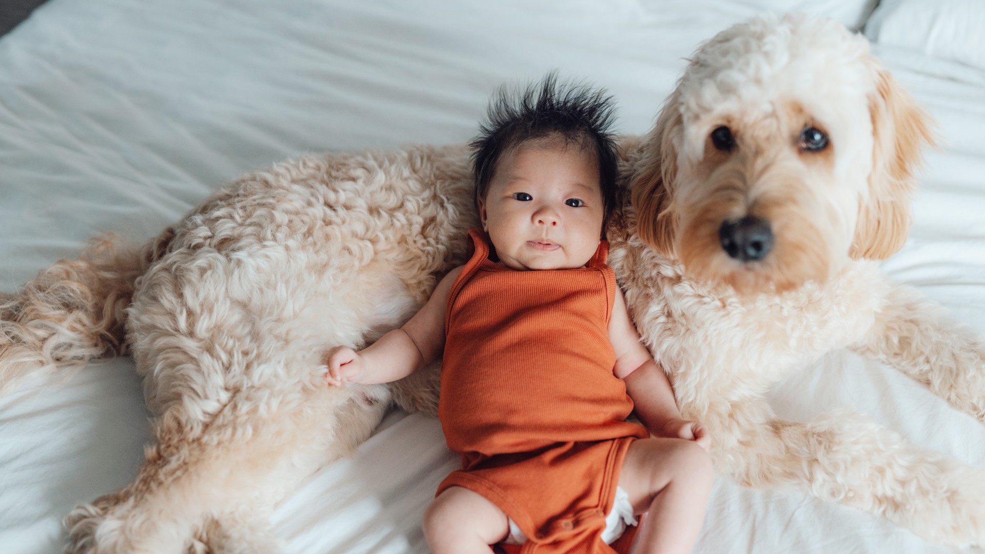 Baby and dog