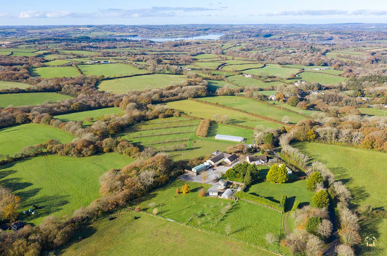 Cwm Deri, Welsh vineyard sale