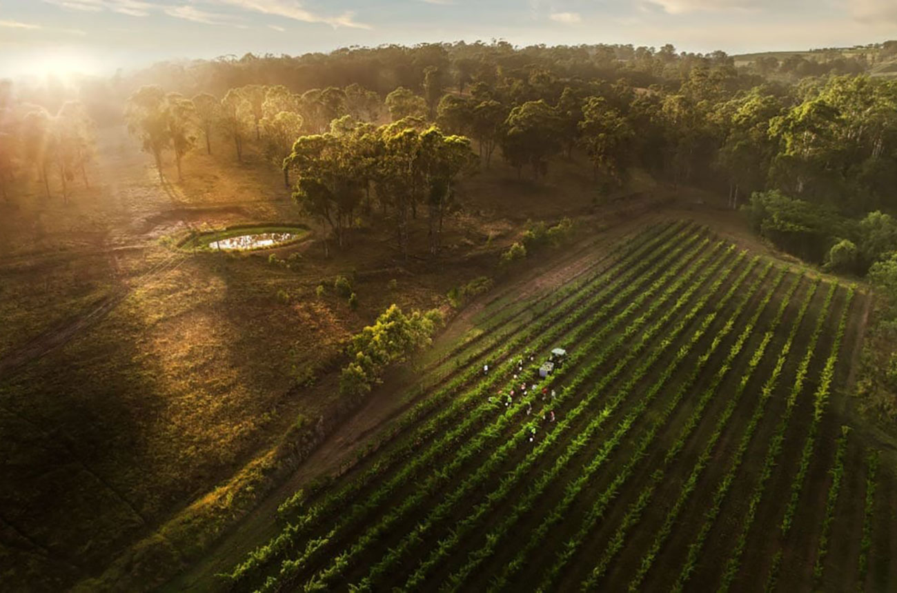 louis jadot wine photo 2026, places