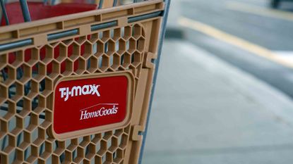 TJMaxx/HomeGoods cart