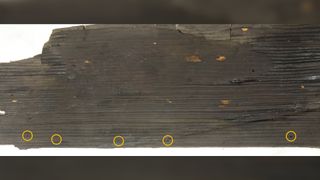 Rows of perforations on the shield boards (indicated here in yellow) suggest they were once covered with a reinforcing layer of rawhide.