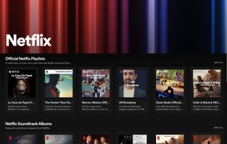 Spotify Netflix Hub