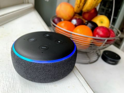 Amazon Echo Dot 3 with Fruit