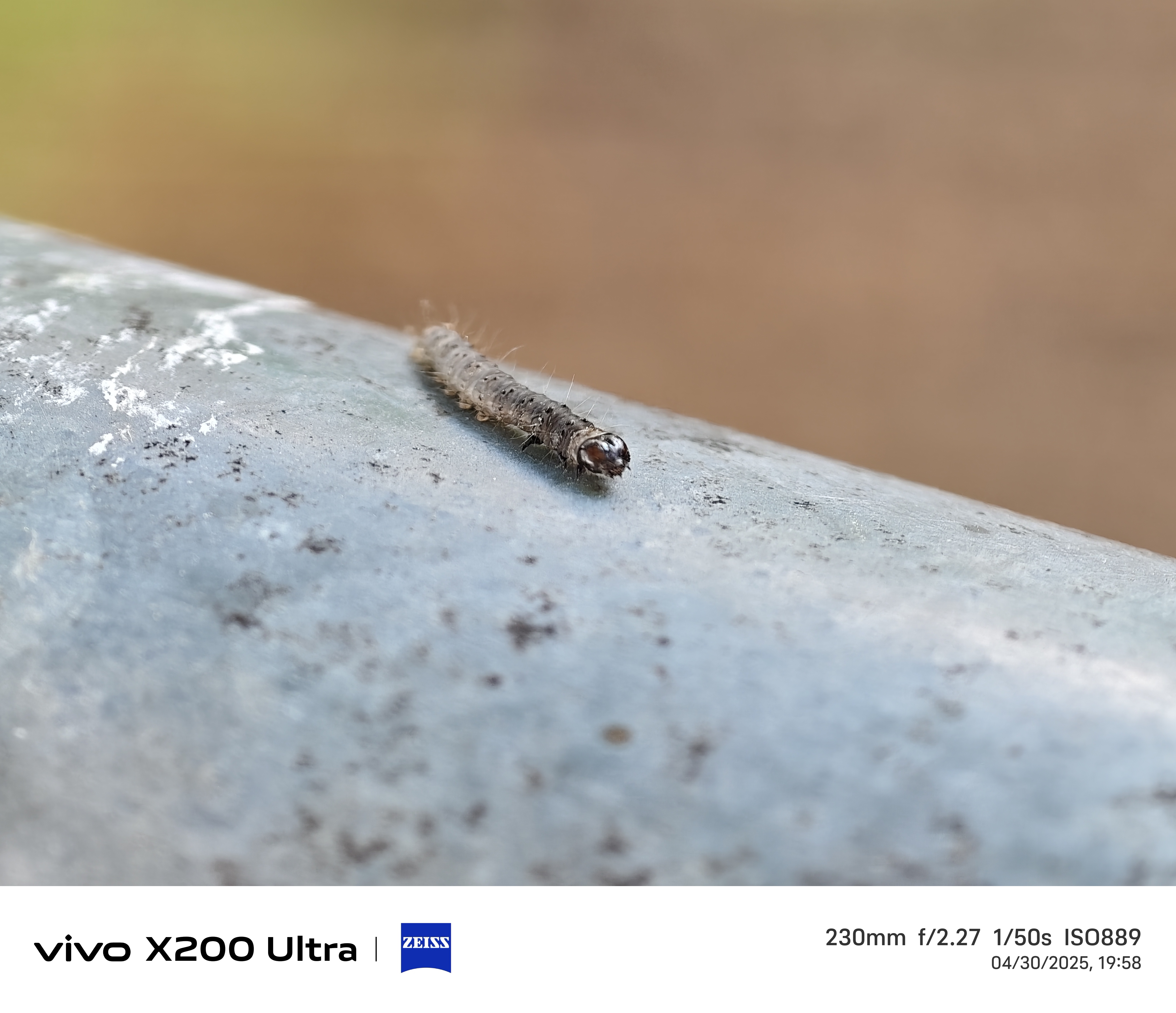 Vivo X200 Ultra camera samples