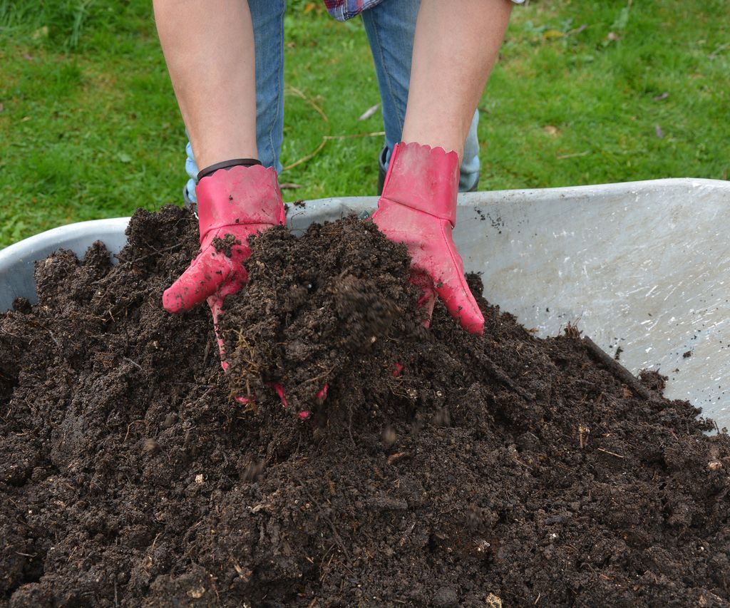 How to improve garden soil 5 simple methods Homes & Gardens