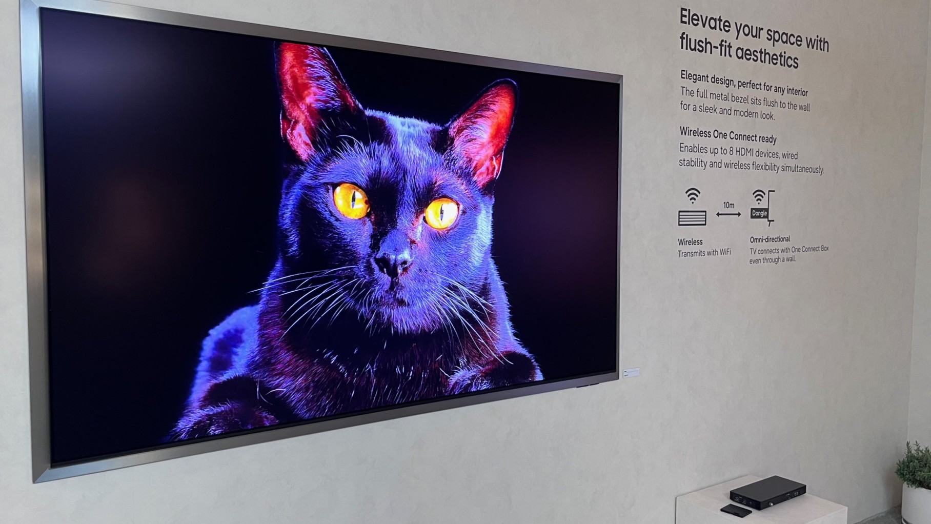 Samsung S95H on display at CES 2026 showing image of a black cat