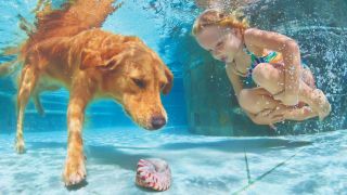 A dog and a girl swimming underwater together