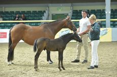 Thursden-Vallye-Leonardo-credit-Kevin-Sparrow-1-e1440441804693.jpg