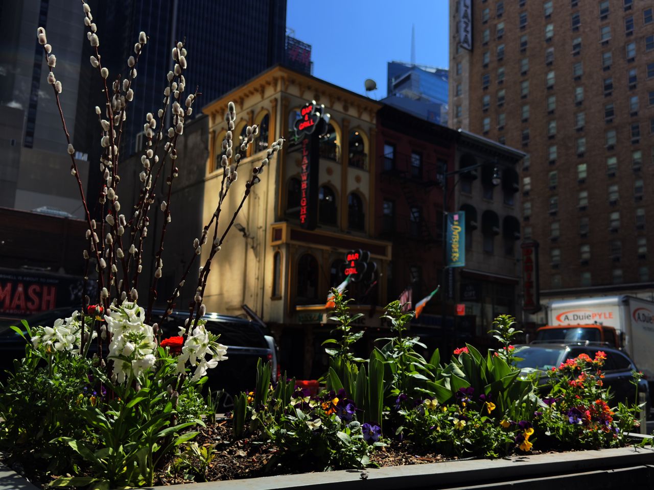 Flowers in New York City street