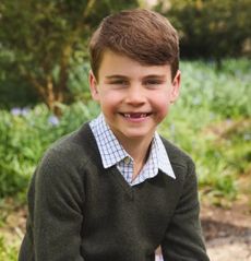 Prince Louis wearing a green sweater sitting on a log for his 7th birthday portait